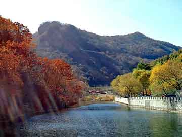 新澳天天开奖资料大全旅游团，重生之星火燎原